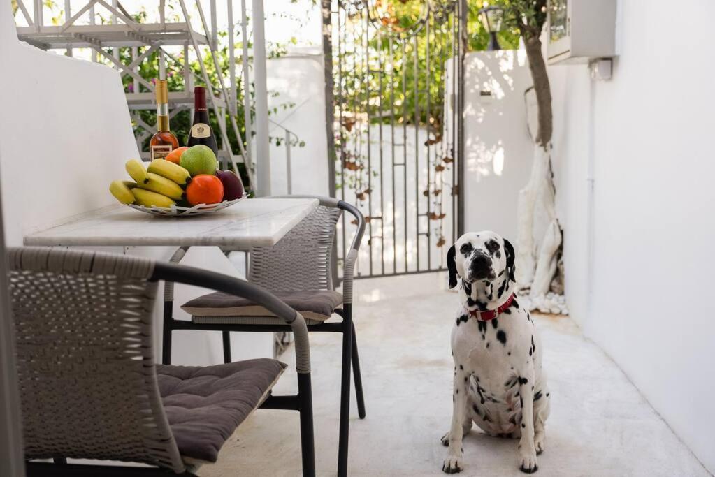 אתונה Villa Artemis Cycladic Charmed ! מראה חיצוני תמונה